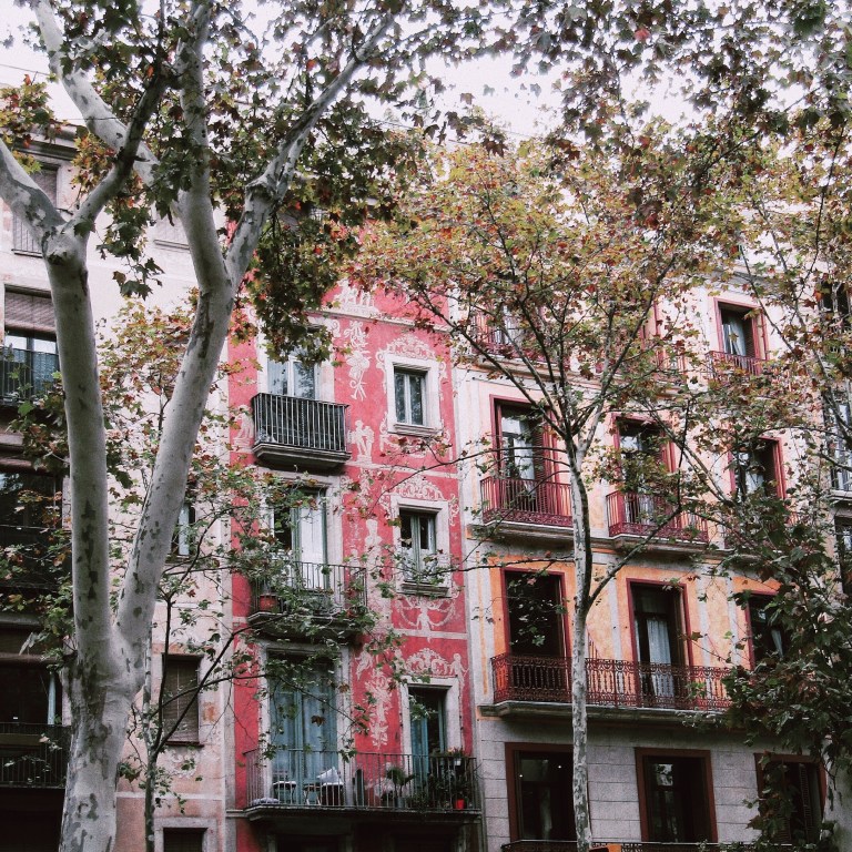 Processed with VSCO with c6 preset